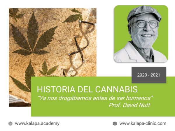 Portada curso online de Historia del cannabis